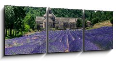 Obraz   France  Paca  Abbaye de Senanque, 150 x 50 cm