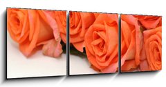 Obraz 3D tdln - 150 x 50 cm F_BM24150167 - Rosen