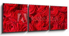 Obraz 3D tdln - 150 x 50 cm F_BM24548244 - Rote Rosen, Symbol f r Liebe, Rosenstrau 