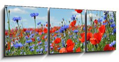 Obraz 3D tdln - 150 x 50 cm F_BM24598223 - Feldblumen am Wegesrand