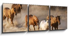 Obraz 3D tdln - 150 x 50 cm F_BM2467066 - wild horses running - divok kon b