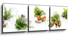 Obraz 3D tdln - 150 x 50 cm F_BM247543142 - Marjoram, oregano, rosemary garden herbs set