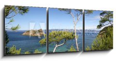 Obraz 3D tdln - 150 x 50 cm F_BM24971446 - PINS MARITIMES, PLAGE DE LA PALUD, ROCHER DU RASCAS, PORT-CROS,