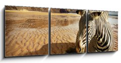 Obraz 3D tdln - 150 x 50 cm F_BM25254470 - Beach Zebra - Pl zebra
