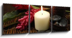 Obraz 3D tdln - 150 x 50 cm F_BM25459715 - spa and wellness concept with flowers zen stones