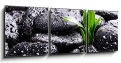 Obraz 3D tdln - 150 x 50 cm F_BM25878336 - Spa concept