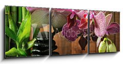 Obraz 3D tdln - 150 x 50 cm F_BM26295385 - Spa