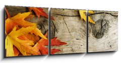 Obraz 3D tdln - 150 x 50 cm F_BM26583135 - Autumn Leaves over wood background.With copy space