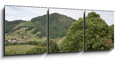 Obraz 3D tdln - 150 x 50 cm F_BM26635270 - Casta os en campi a navarra