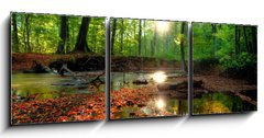 Obraz   Autumn forrest, 150 x 50 cm