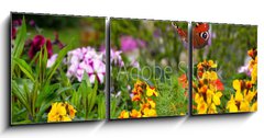 Obraz 3D tdln - 150 x 50 cm F_BM270234629 - Schmetterling 578