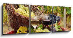 Obraz 3D tdln - 150 x 50 cm F_BM27521163 - vineyard with red and white wine