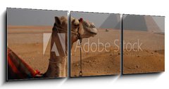 Obraz 3D tdln - 150 x 50 cm F_BM27812689 - Egipt