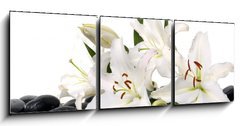 Obraz 3D tdln - 150 x 50 cm F_BM28705565 - madonna lily and spa stone