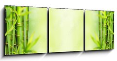 Obraz 3D třídílný - 150 x 50 cm F_BM28907329 - Bamboo background - Bambusové pozadí