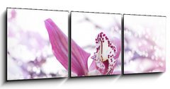 Obraz 3D třídílný - 150 x 50 cm F_BM29085741 - Spa - Lázně