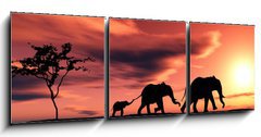 Obraz 3D tdln - 150 x 50 cm F_BM2914279 - family of elephants