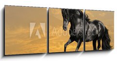 Obraz   black horse runs gallop, 150 x 50 cm