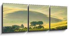 Obraz 3D tdln - 150 x 50 cm F_BM29255589 - Toskana Huegel  - Tuscany hills 38