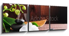 Obraz 3D třídílný - 150 x 50 cm F_BM29542352 - Spa concept - dolphin