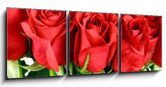 Obraz 3D tdln - 150 x 50 cm F_BM29639733 - bouquet of red roses