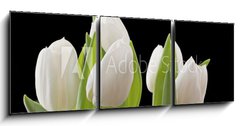 Obraz 3D tdln - 150 x 50 cm F_BM29886850 - Tulips