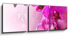 Obraz 3D tdln - 150 x 50 cm F_BM30014255 - Orchid Flower border design - Orchid Flower design hranic