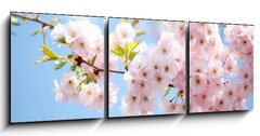 Obraz 3D tdln - 150 x 50 cm F_BM30139216 - Kirschbaum