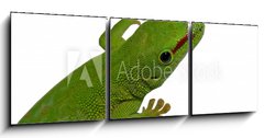 Obraz 3D tdln - 150 x 50 cm F_BM3016112 - lezard vert