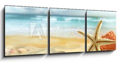 Obraz 3D tdln - 150 x 50 cm F_BM30407391 - Starfish on the Beach