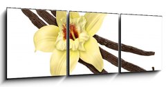 Obraz 3D tdln - 150 x 50 cm F_BM30979053 - Vanilla Bean and Flower (clipping path)