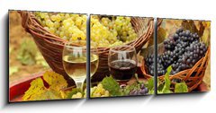 Obraz 3D tdln - 150 x 50 cm F_BM31176715 - Wine and Grapes in the Vineyard