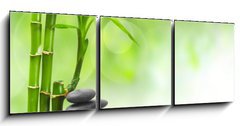 Obraz 3D třídílný - 150 x 50 cm F_BM31281590 - Spa - Lázně
