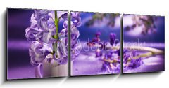 Obraz 3D tdln - 150 x 50 cm F_BM31402234 - Still life with hyacinth flower in gentle violet colors and magi