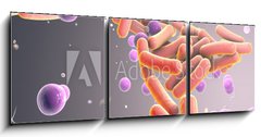Obraz 3D tdln - 150 x 50 cm F_BM316394282 - Medicine Bacteria and virus Picture