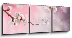 Obraz 3D tdln - 150 x 50 cm F_BM31669597 - Spring Blossom Design