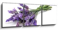 Obraz 3D tdln - 150 x 50 cm F_BM31830831 - lavender