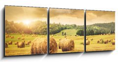 Obraz 3D tdln - 150 x 50 cm F_BM31838189 - Field of freshly bales of hay with beautiful sunset