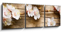 Obraz   Wood background with spring blossom, 150 x 50 cm