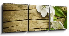 Obraz 3D tdln - 150 x 50 cm F_BM32219787 - Spring Blossom over wooden background