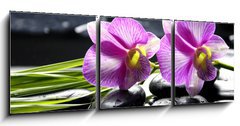 Obraz 3D tdln - 150 x 50 cm F_BM32225654 - Oriental spa with orchid with and green plant on zen stones