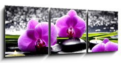 Obraz 3D tdln - 150 x 50 cm F_BM32250117 - Spa still life with set of pink orchid and stones reflection