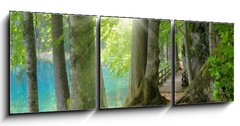 Obraz 3D třídílný - 150 x 50 cm F_BM32267229 - Sonnenschein im Wald neben klarem See - Sonnenschein im Wald neben klarem Podívejte se