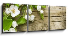 Obraz   Spring Blossom over wooden background, 150 x 50 cm