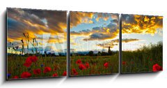 Obraz   Poppy Field, 150 x 50 cm