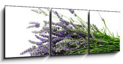 Obraz 3D tdln - 150 x 50 cm F_BM32774353 - Lavender