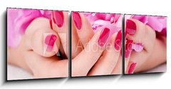 Obraz   Woman cupped hands with manicure holding a pink flower, 150 x 50 cm