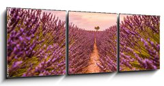 Obraz 3D tdln - 150 x 50 cm F_BM328521401 - Dramatic sunset landscape. Tree in lavender field at sunset in Provence, France