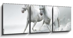 Obraz 3D třídílný - 150 x 50 cm F_BM32884228 - White horses - Bílí koně