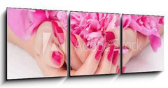 Obraz   Woman cupped hands with pink manicure holding a flower, 150 x 50 cm